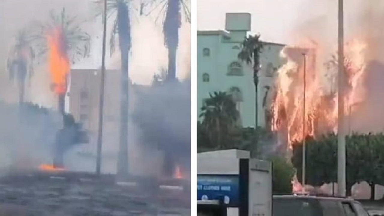 صواعق تشعل النيران في أشجار وادي وج بالطائف .. فيديو