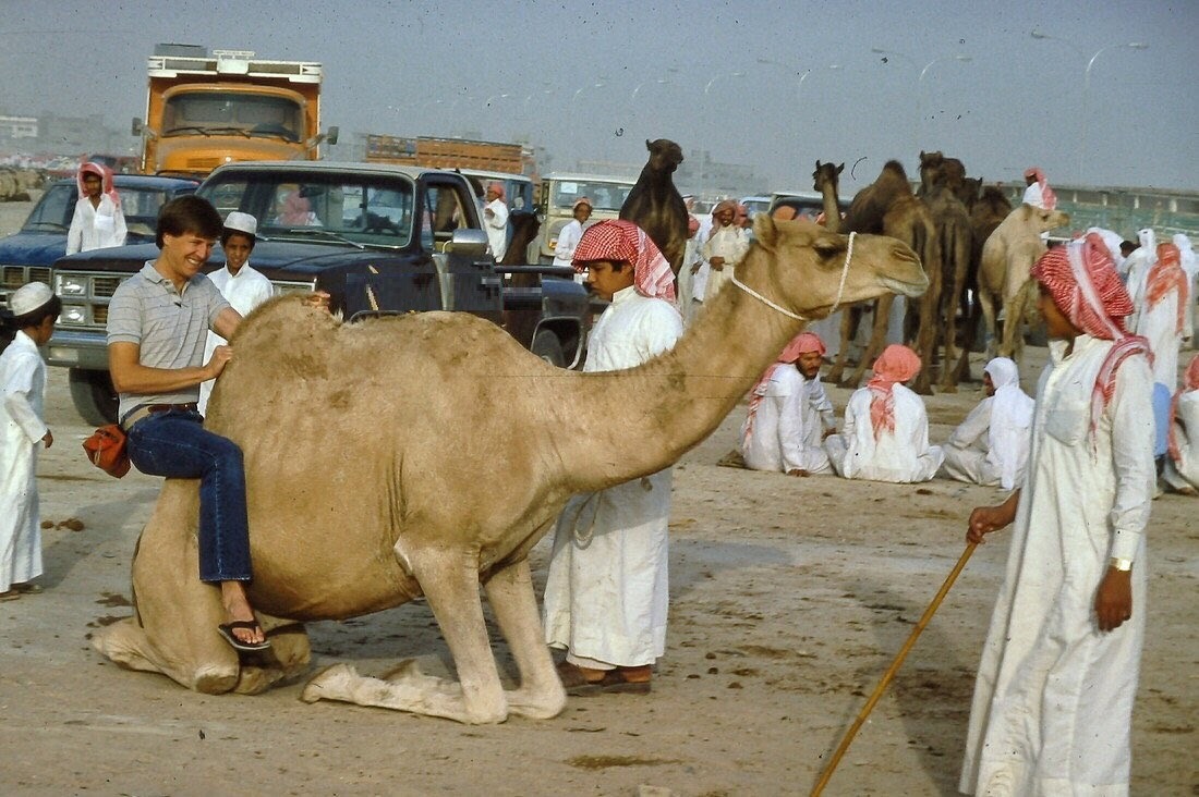لقطة من سوق الإبل بالهفوف قبل 40 عام