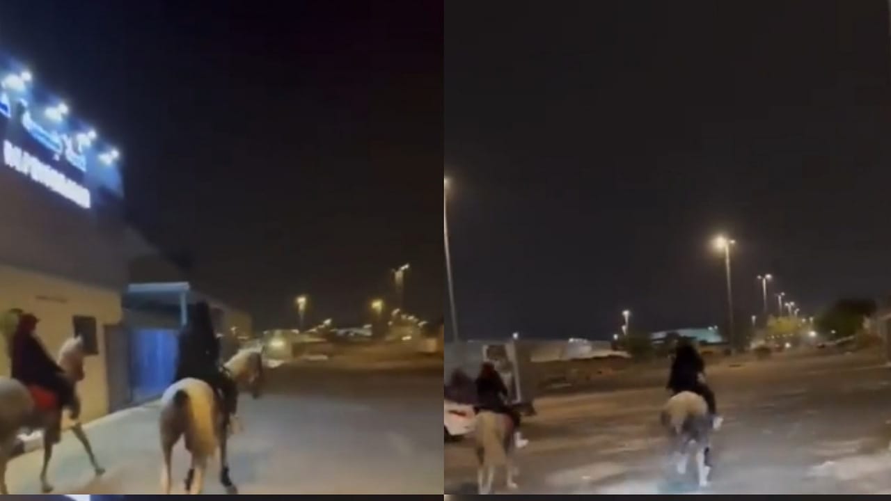 فتاتان تتجولان بالحصان في شارع عام..فيديو