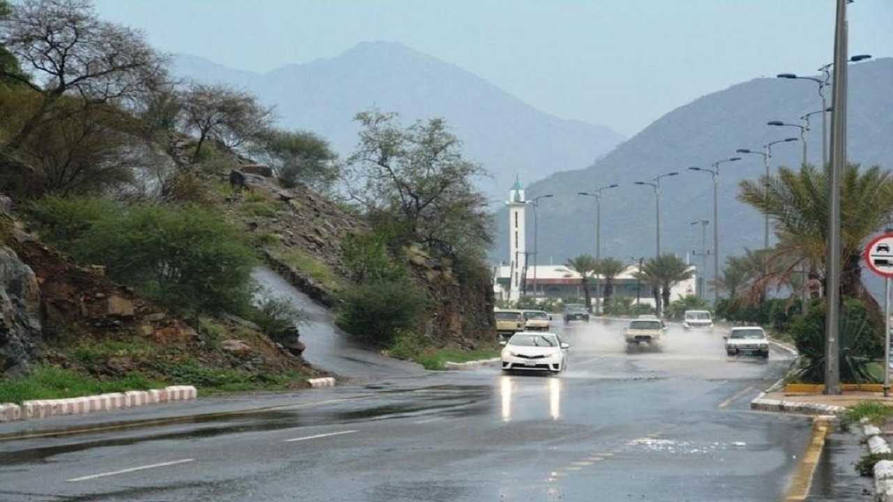 الأرصاد : الأمطار مستمرة في 4 مناطق