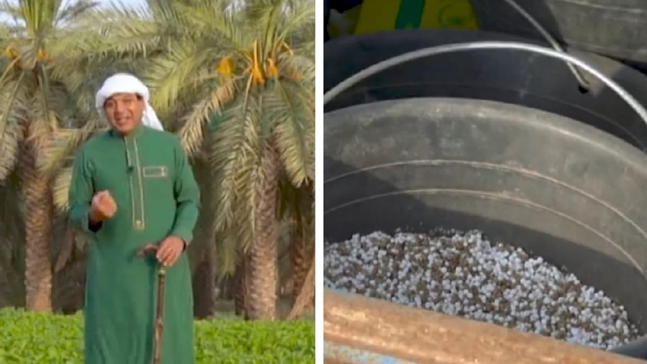 الزعاق يوضح أقسام الزراعة طوال العام.. فيديو
