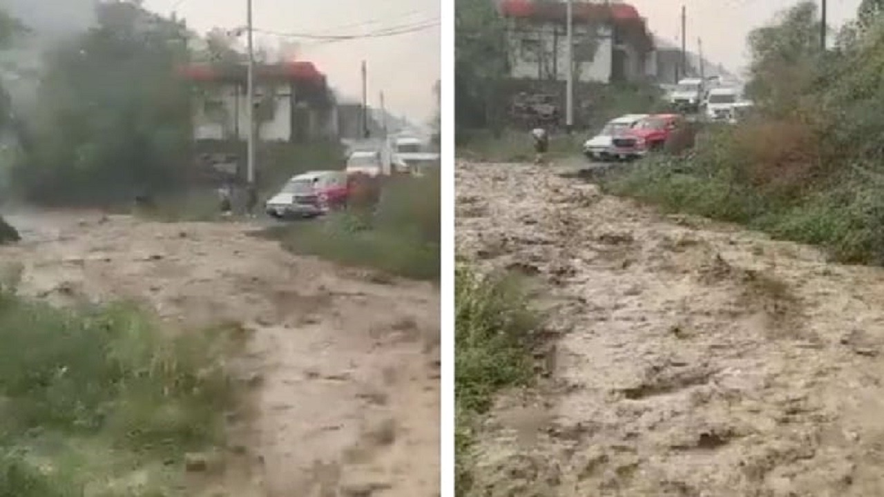 أمطار غزيرة وسيول قوية بـ رجال ألمع .. فيديو