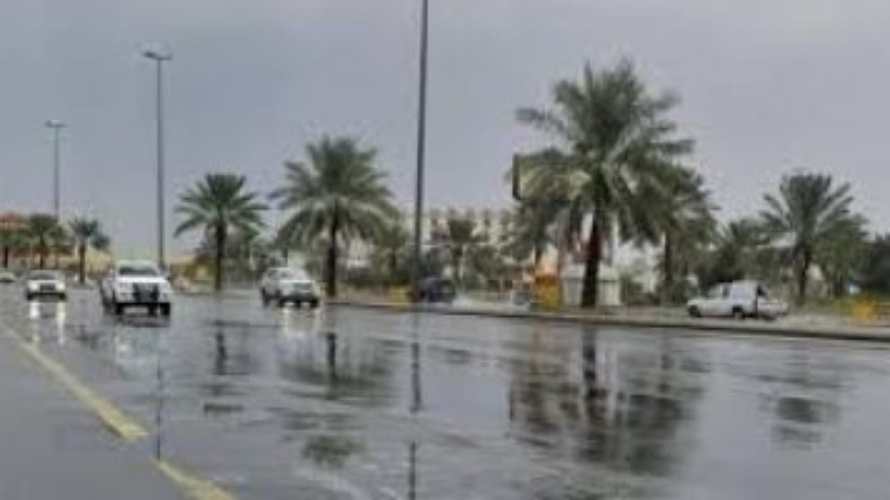 محلل الطقس: المملكة ستشهد تقلبات جوية الفترة القادمة.. فيديو