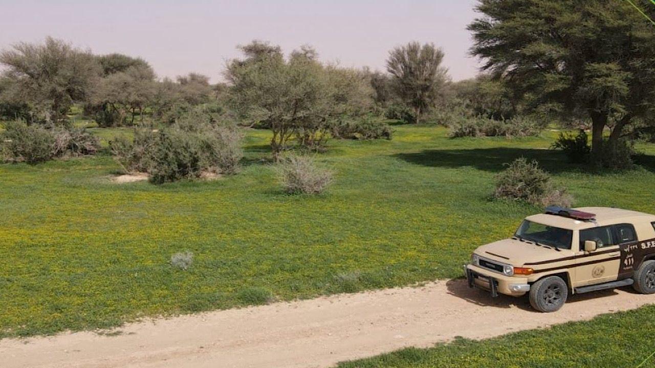 ضبط مخالفًا لنظام البيئة لارتكابه مخالفة الصيد دون ترخيص بمحمية الإمام سعود.. فيديو