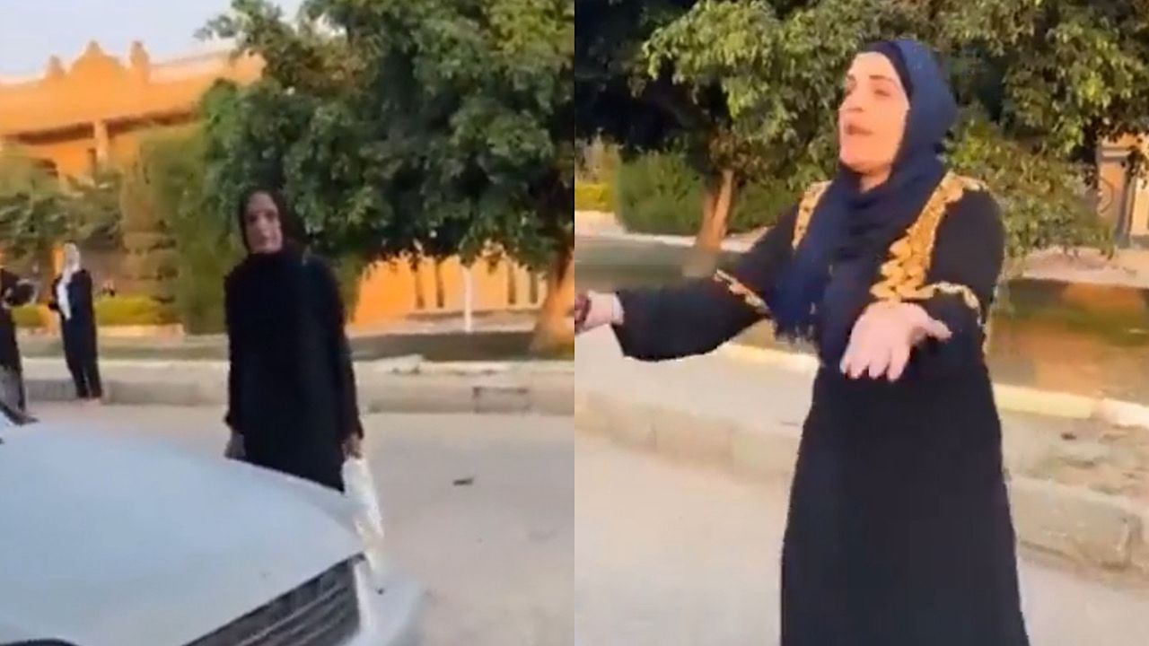 امرأة مصرية تُحضر والدتها لدار الرعاية والأم ترفض الدخول .. فيديو