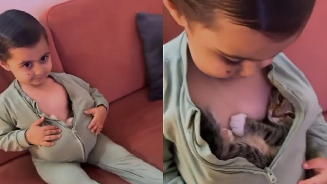 طفلة تخبئ قطتها في ملابسها حتى تنام .. فيديو