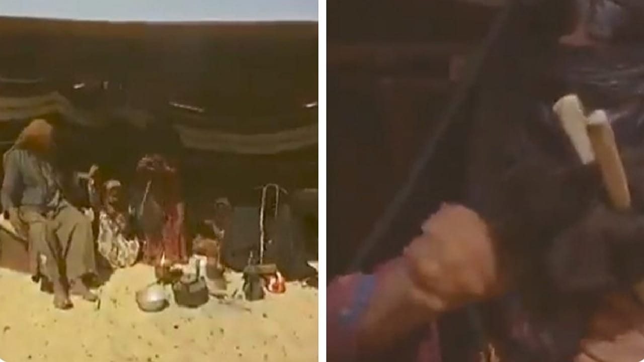 نساء بدويات يعملن على غزل الصوف شمال السعودية.. فيديو