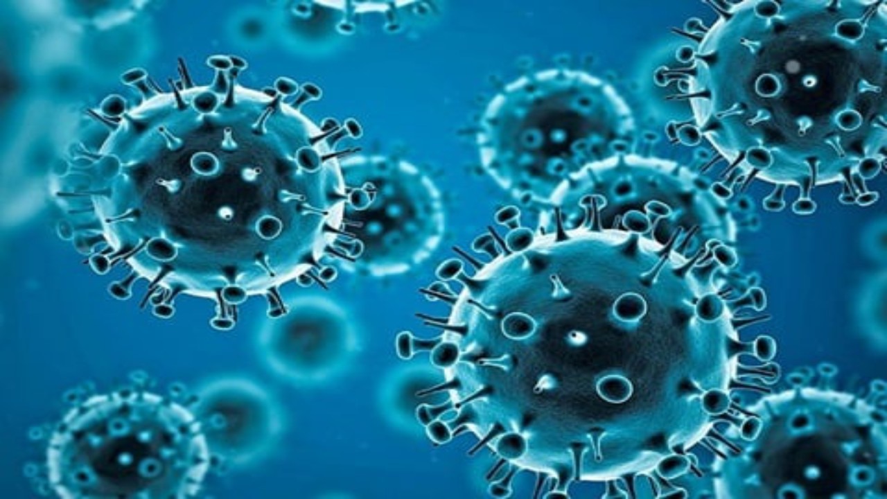إصابات إثر ظهور متغير جديد من فيروس كورونا في أيرلندا الشمالية