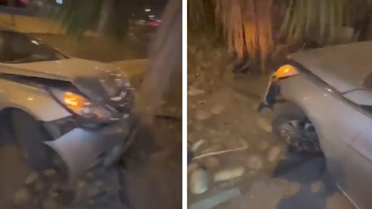 شخص يتهم متابعينه بالحسد بعد اصطدام سيارته بنخلة.. فيديو