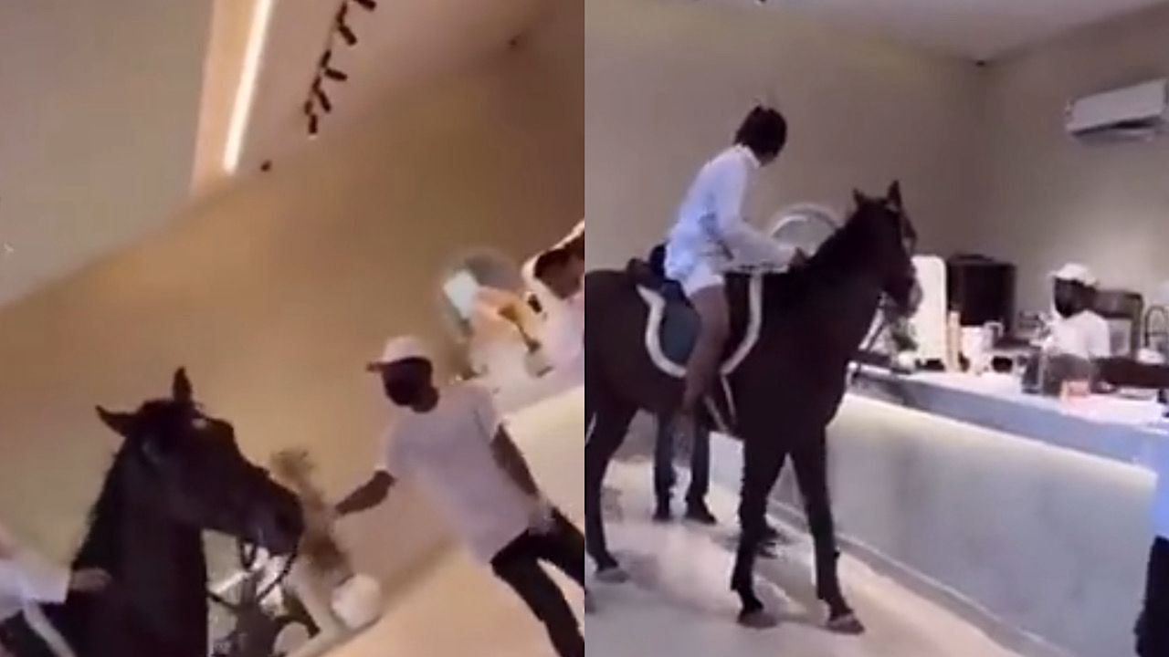 شُبان يدخلون أحد الكافيهات بالأحصنة ويثيرون جدلاً واسعًا .. فيديو