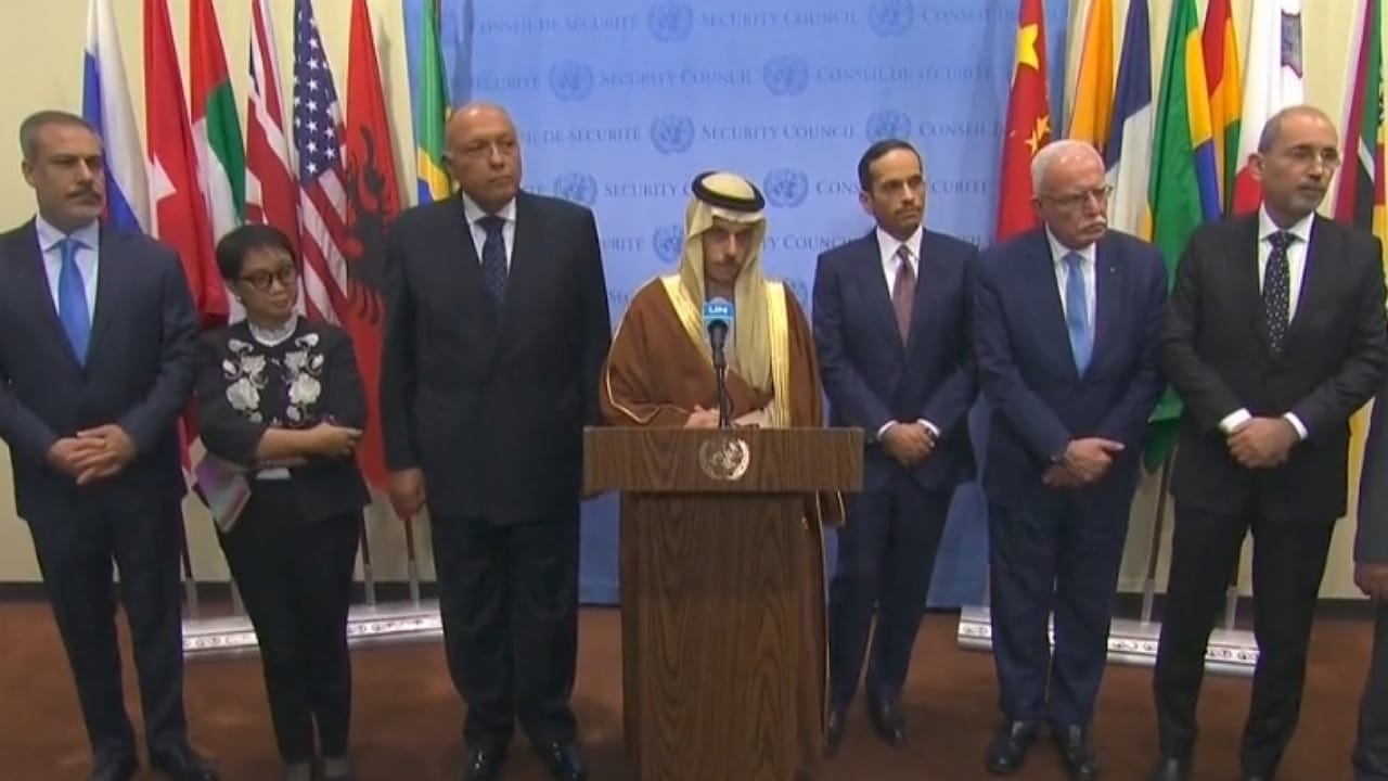 وزير الخارجية: قرار مجلس الأمن بشأن غزة لم يطبق بالكامل.. فيديو
