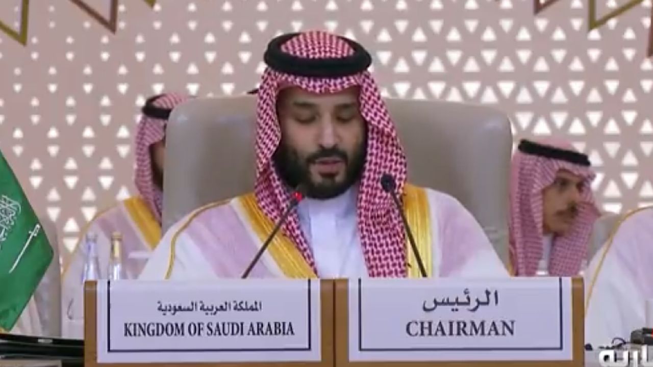 كلمة ولي العهد في القمة السعودية الإفريقية .. فيديو