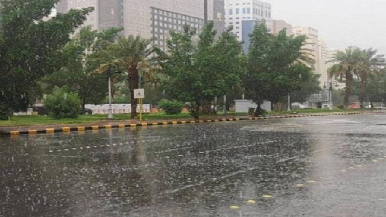 الأرصاد : استمرار الأمطار الرعدية حتى الجمعة القادمة