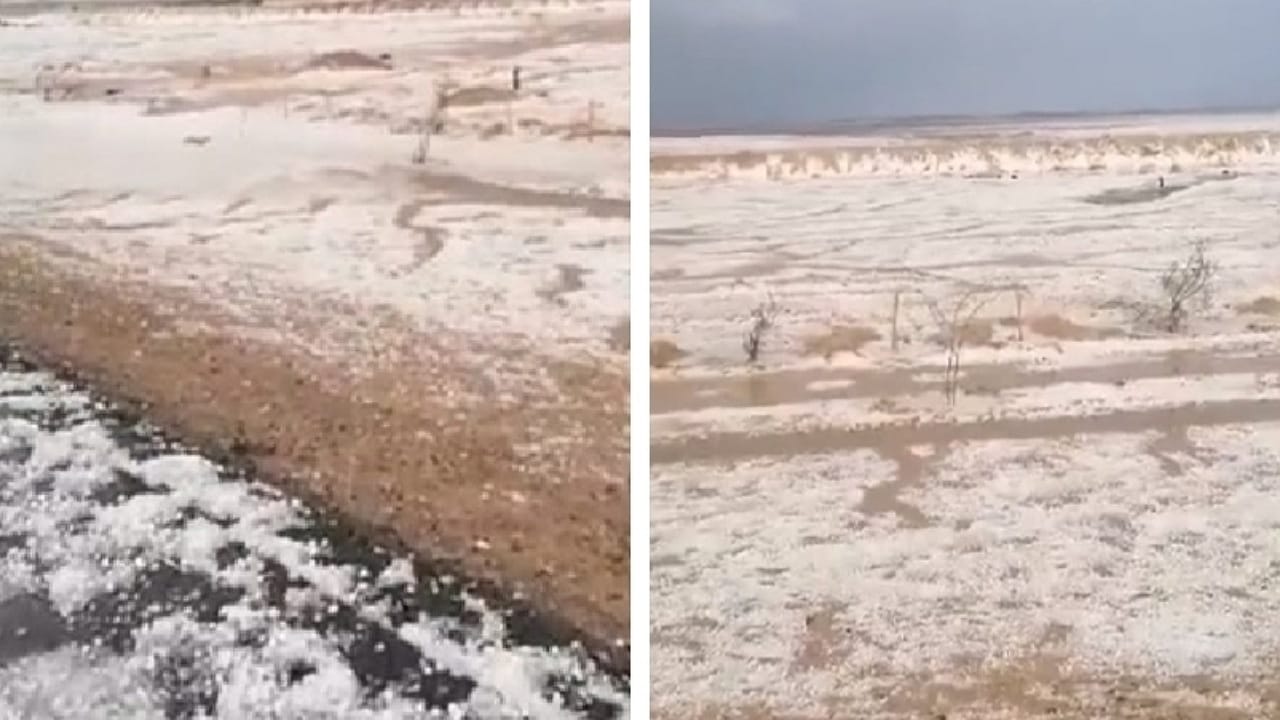 حبات الثلوج تكسو منطقة الجوف.. فيديو