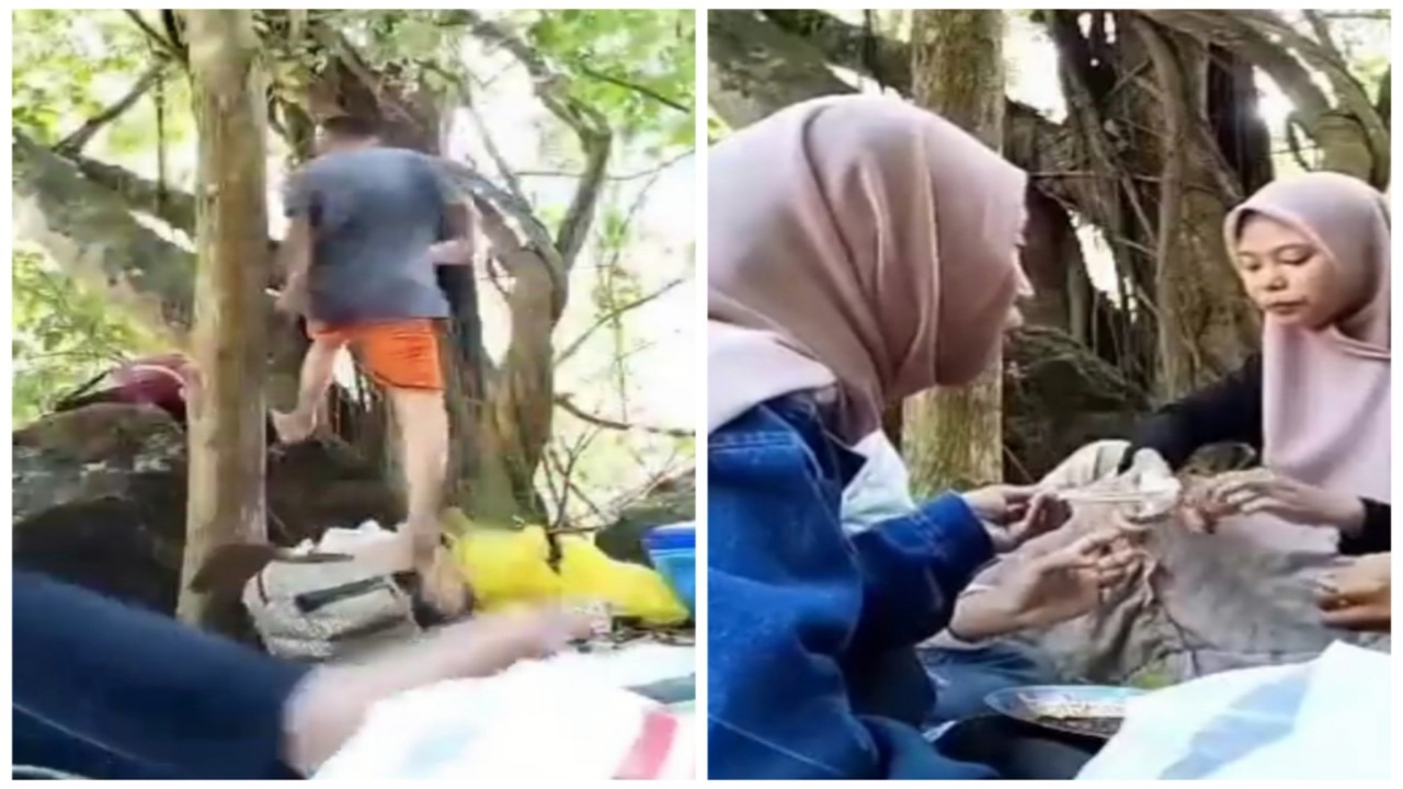 لحظة ظهور ثعبان لعائلة أثناء تناولهم الطعام في الغابة.. فيديو