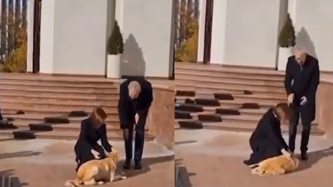 كلب رئيسة مولدوفا يعض رئيس النمسا .. فيديو