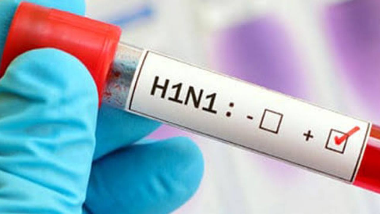 سلالة جديدة من أنفلونزا الخنازير تثير القلق في بريطانيا