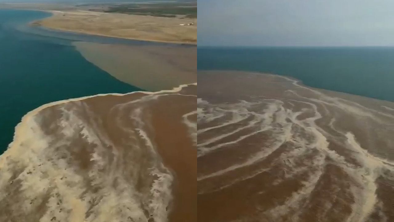 المسند : رواسب مياه الأودية تساهم في تنظيف المياه البحرية .. فيديو