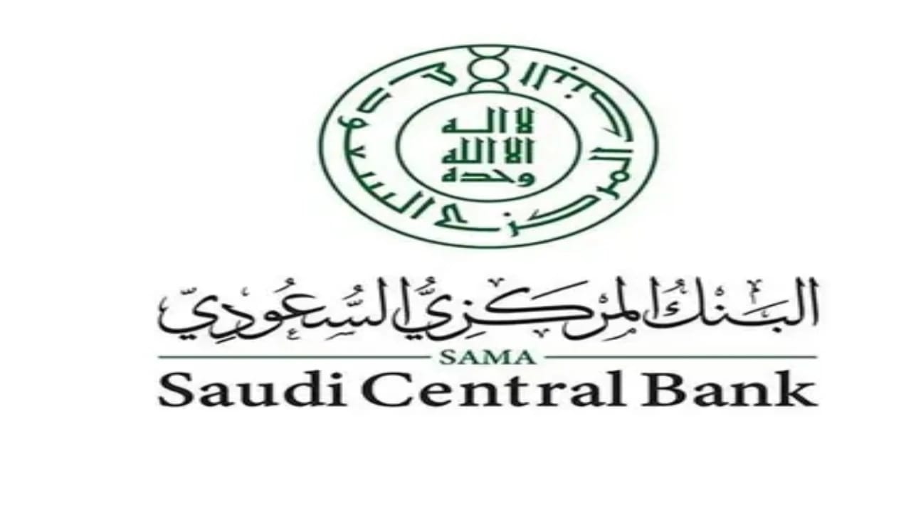 البنك المركزي يصدر قواعد تنظيم شركات الدفع الآجل BNPL