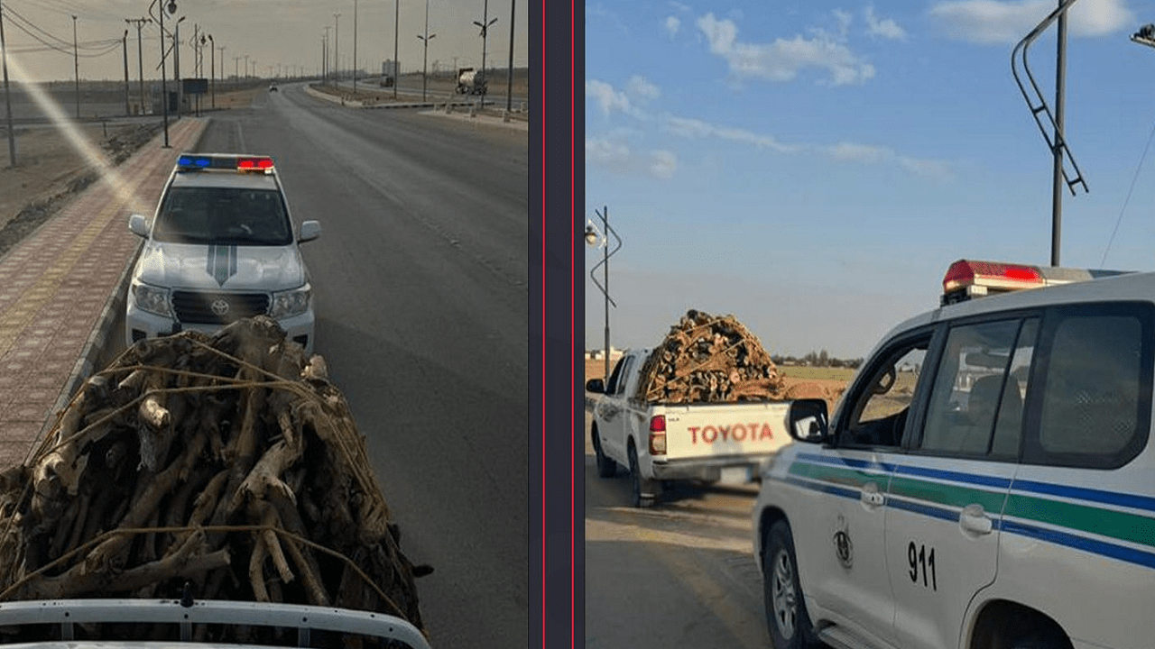 ضبط مواطن بحوزته حطب محلي معروض للبيع في الرياض.. فيديو