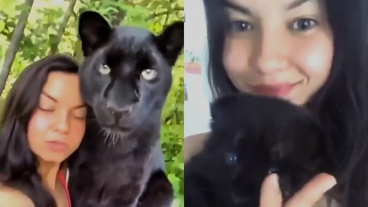 سيدة تعتني بقطة صغيرة لتتفاجأ بأنها رضيع قط أسود .. فيديو