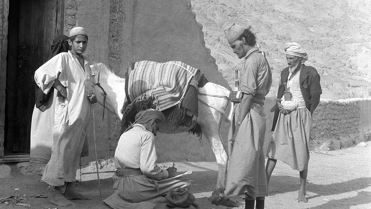 حياة المواطنين في منطقة نجران قبل 56 عاما.. صورة