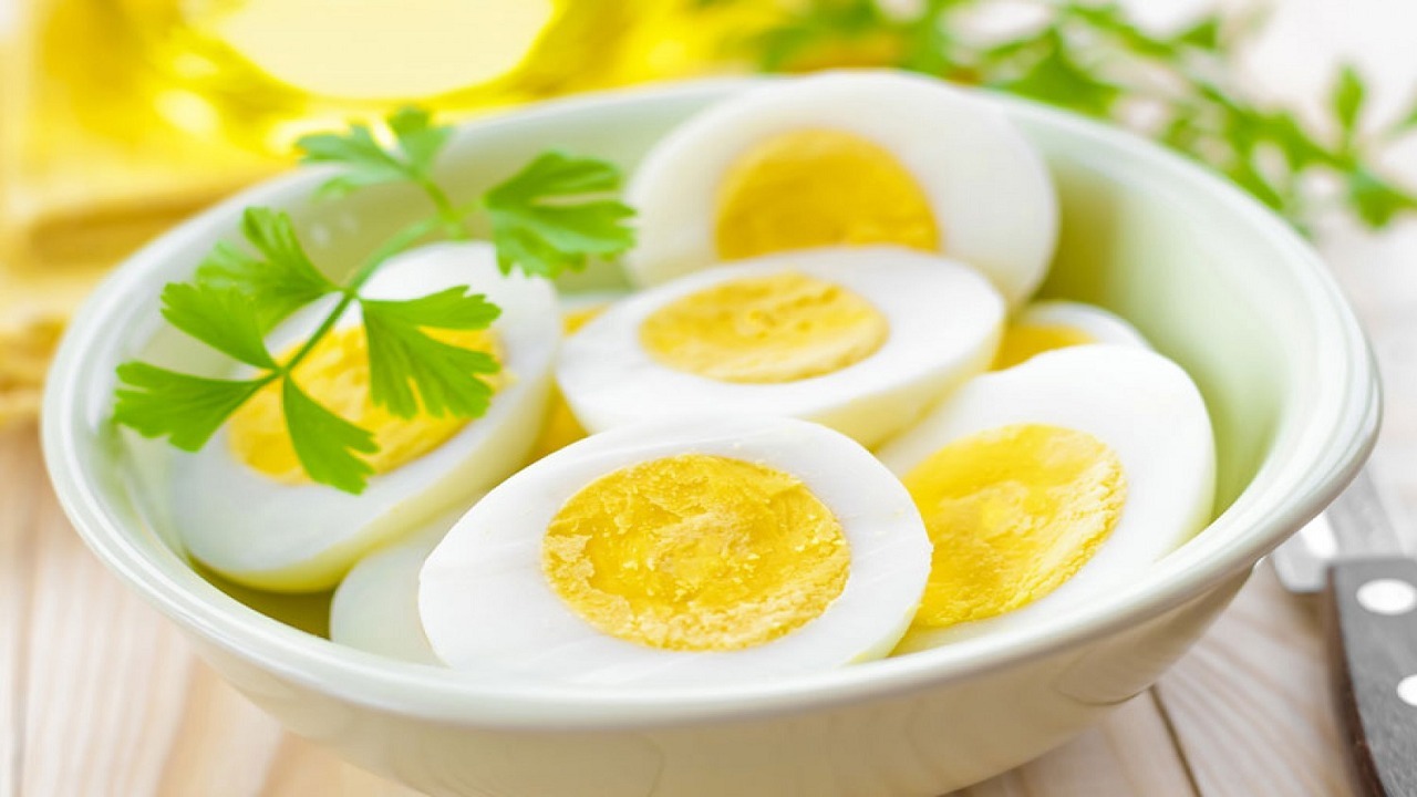 الخضيري: البيض لا يسبب ارتفاع الكوليسترول