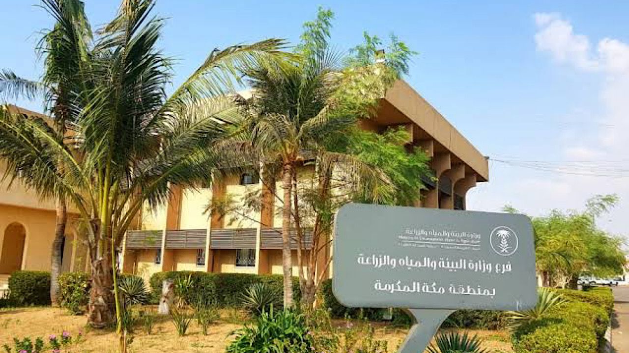إطلاق مبادرة غرسة لتشجير المدارس والمباني التعليمية في محافظة القنفذة
