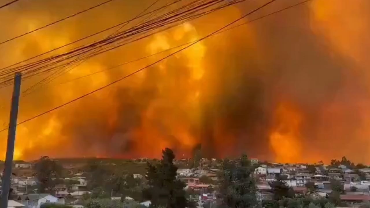 حرائق غابات ضخمة في تشيلي.. فيديو