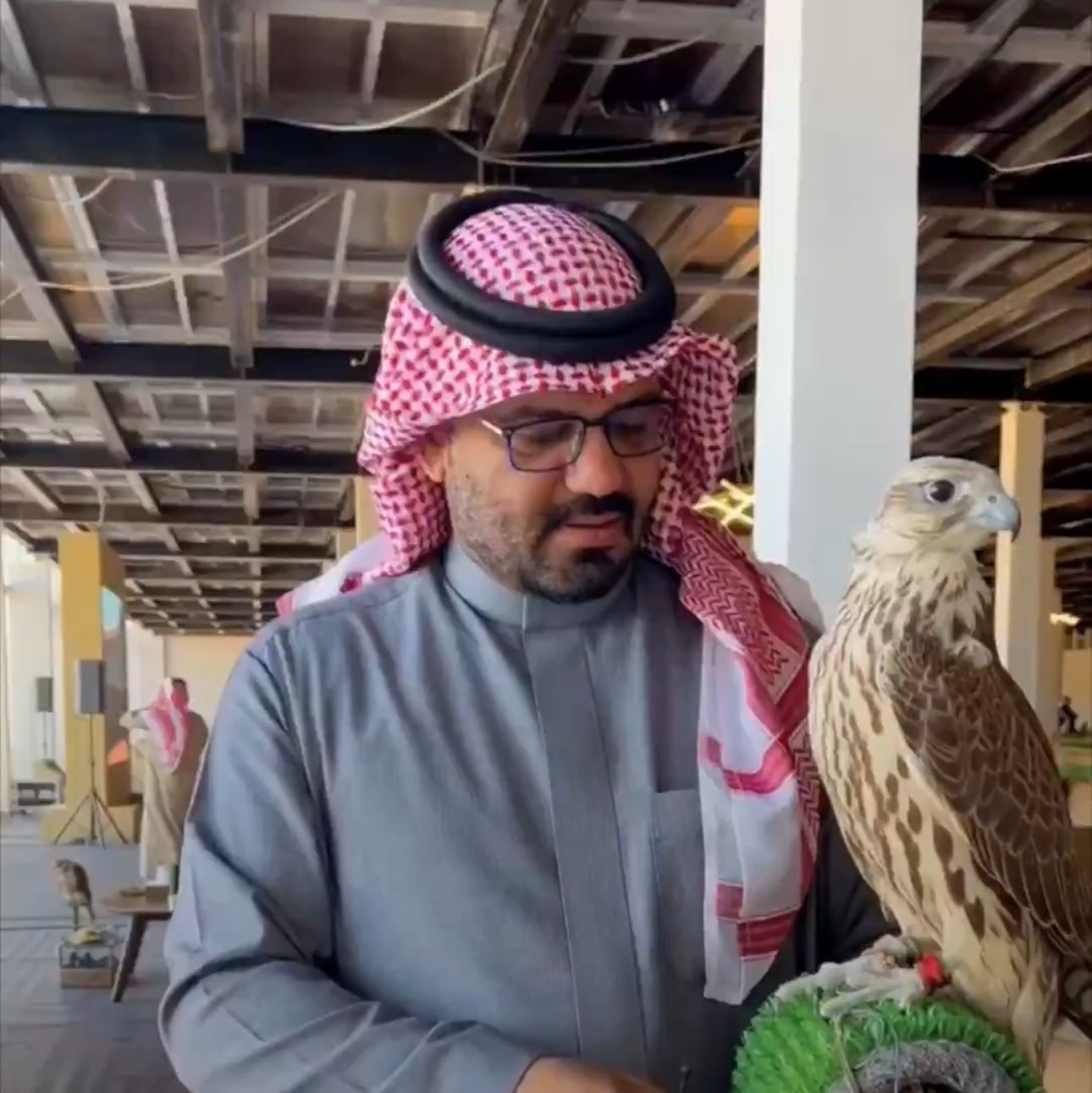 تاجر صقور يحصل على جائزة بقيمة 150 ألف ريال في كأس العلا للصقور .. فيديو تاجر صقور يحصل على جائزة بقيمة 150 ألف ريال في كأس العلا للصقور .. فيديو