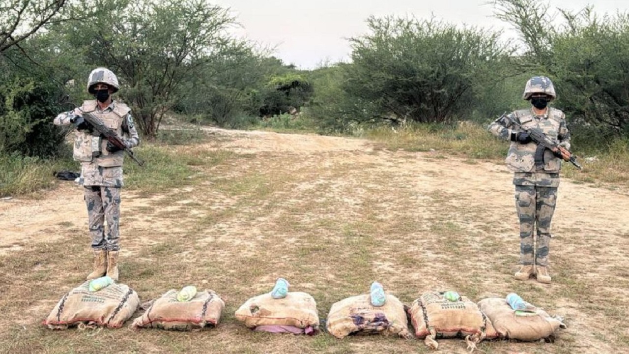 إحباط تهريب نبات القات المخدر في جازان