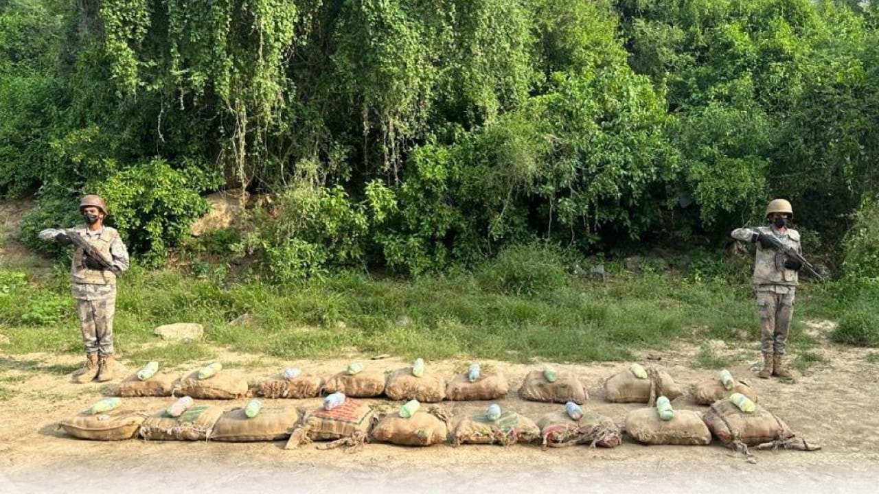 إحباط تهريب 380 كيلوجرامًا من نبات القات المخدر بجازان