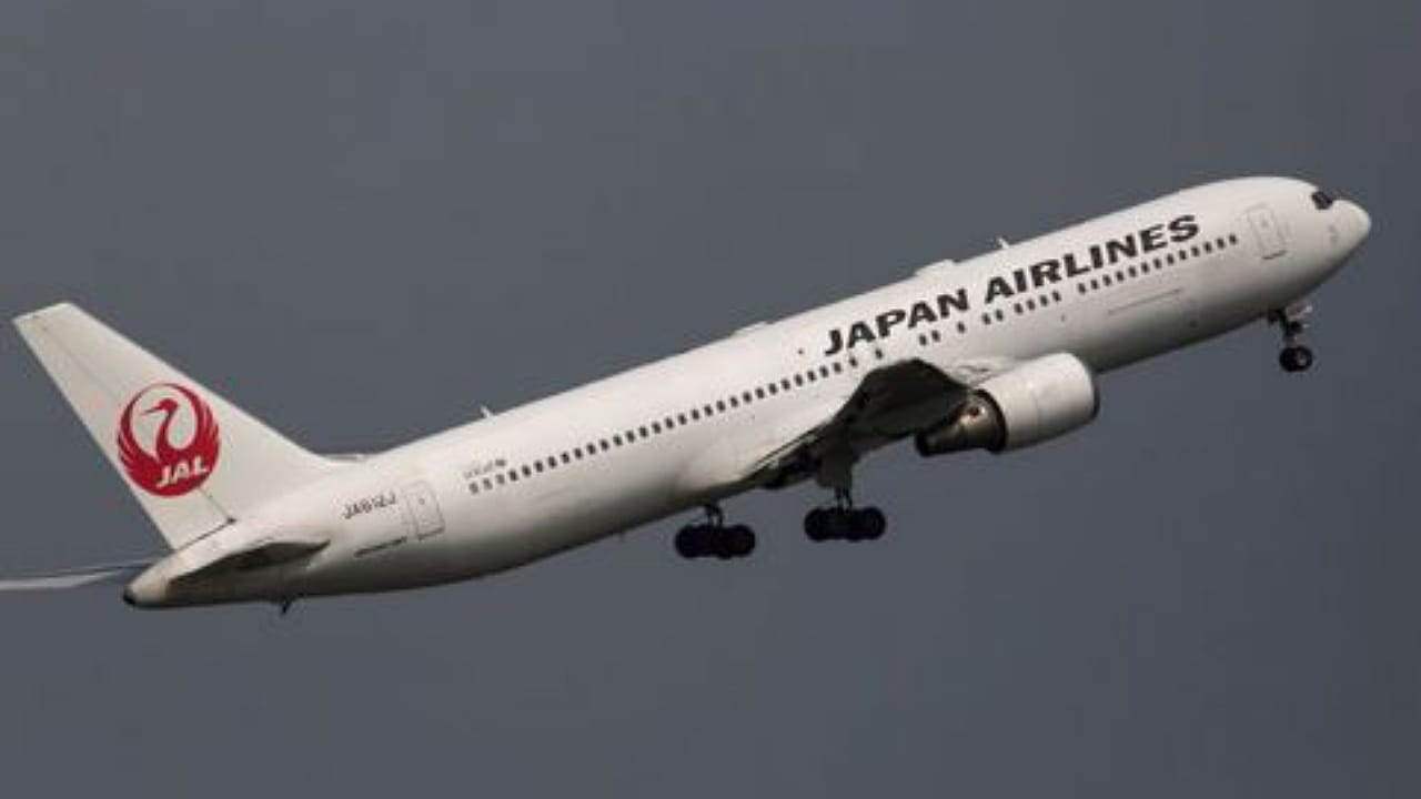 طائرة يابانية تغير وجهتها بسبب عضة .. فيديو