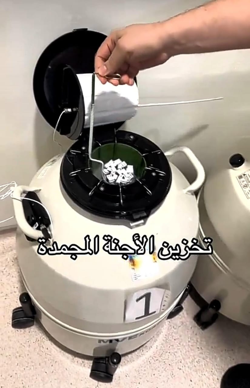 مختص يوضح طريقة تخزين الأجنة المجمدة .. فيديو