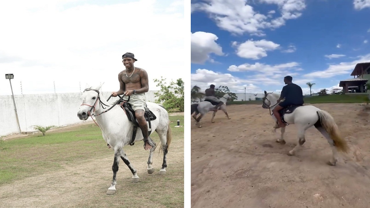 تاليسكا يظهر مهاراته مع الخيول .. فيديو