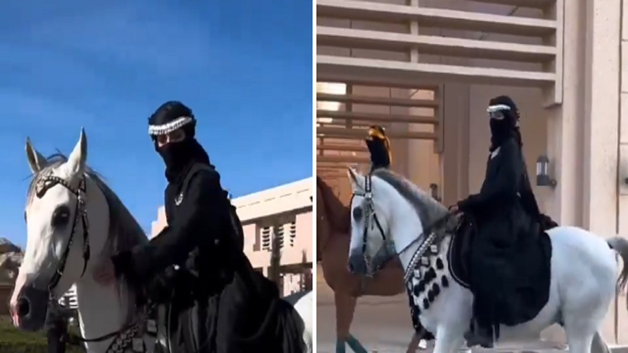 طالبات يحتفلن بيوم التأسيس على ظهور أحصنتهن في جامعة أبها .. فيديو