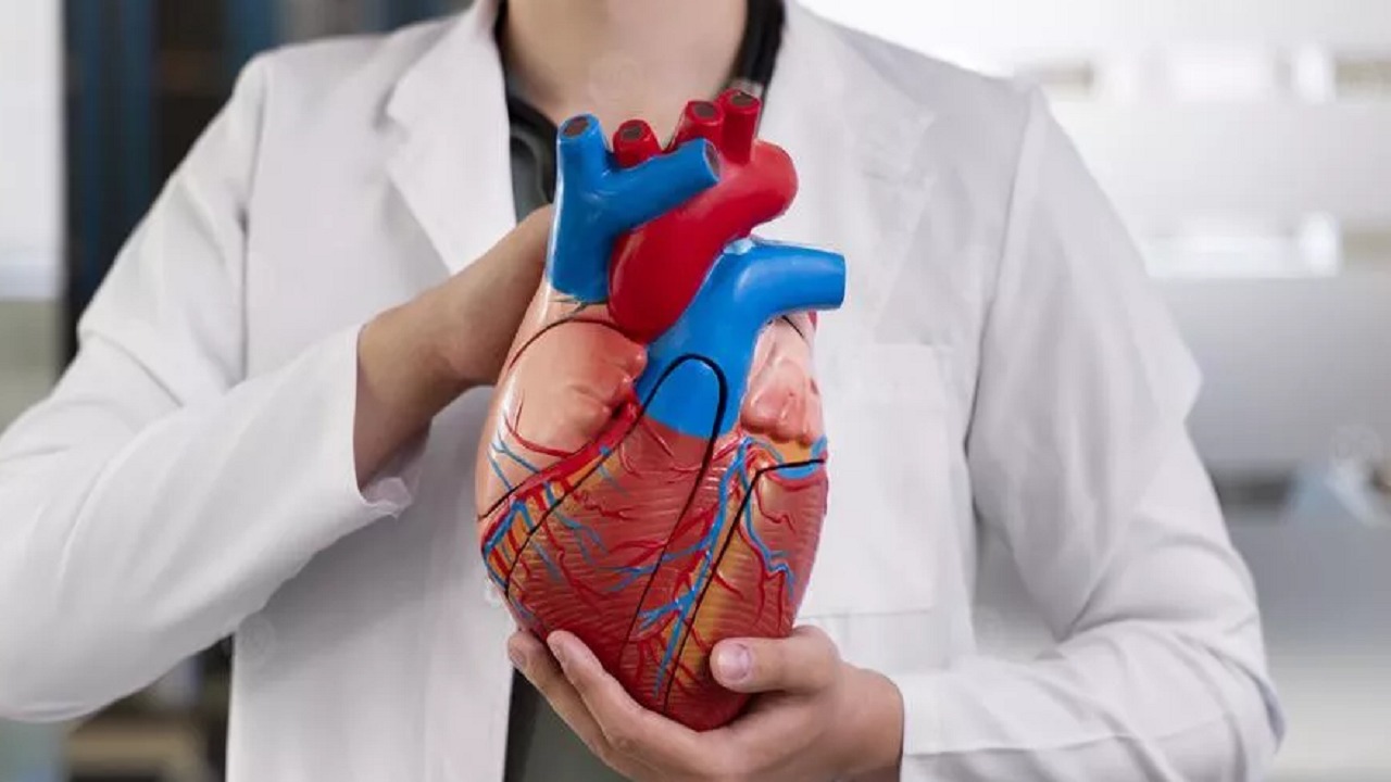 3 نصائح للحماية من أمراض القلب .. فيديو