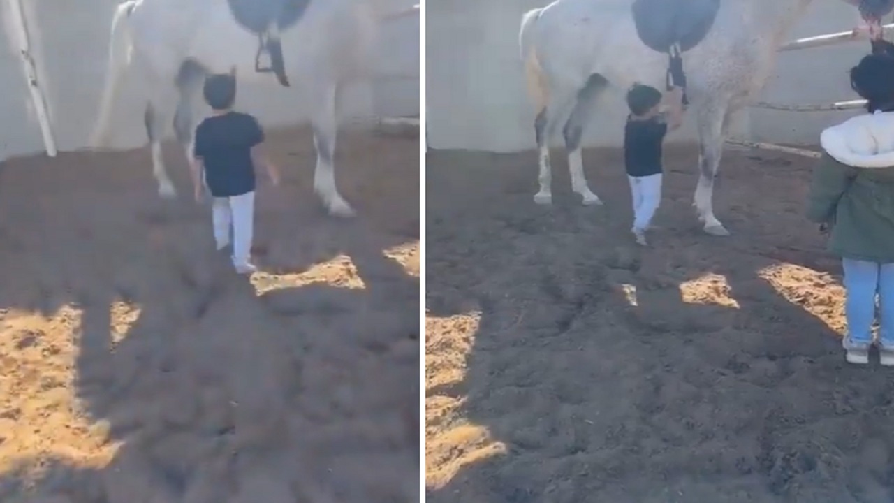 حصان يرفس طفلاً ويطيح به لأمتار.. فيديو
