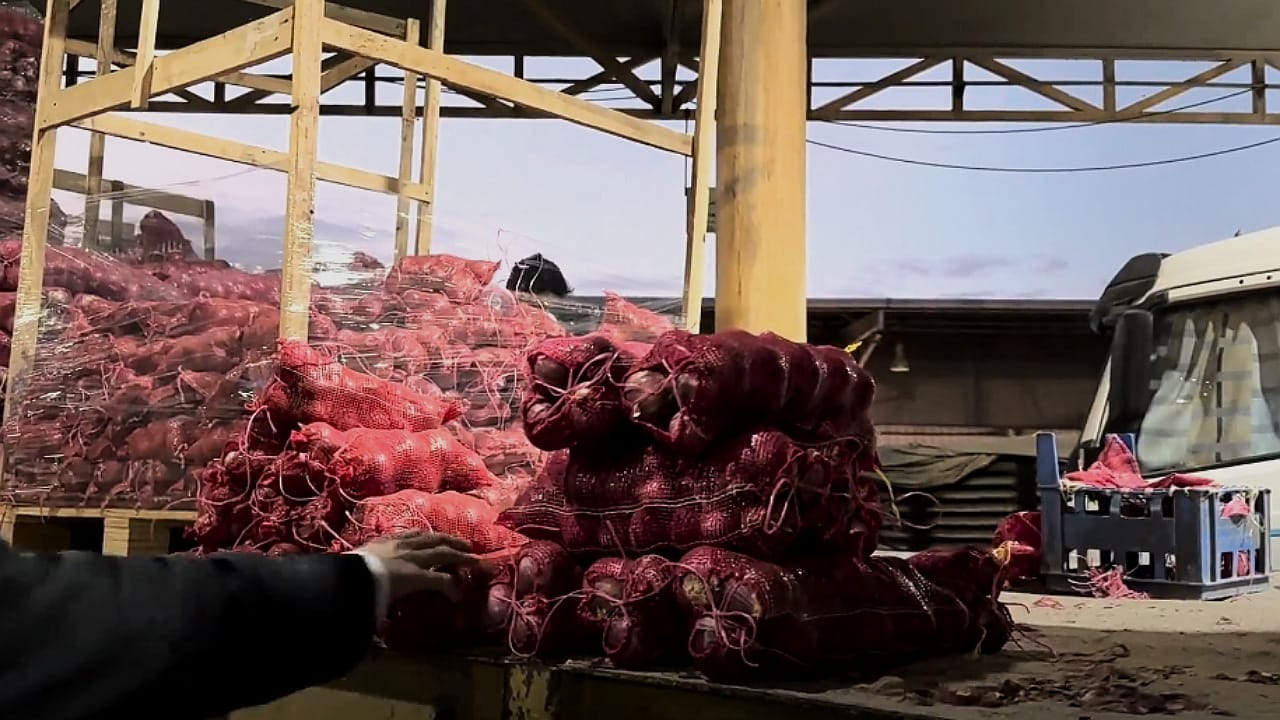 ارتفاع جنوني في أسعار البصل ومزارع يشرح الأسباب .. فيديو