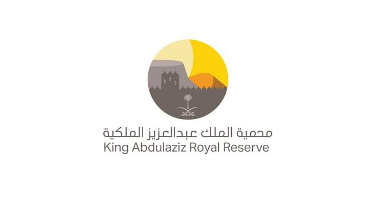 ضبط 3 مواطنين مخالفين لنظام البيئة بمحمية الملك عبدالعزيز