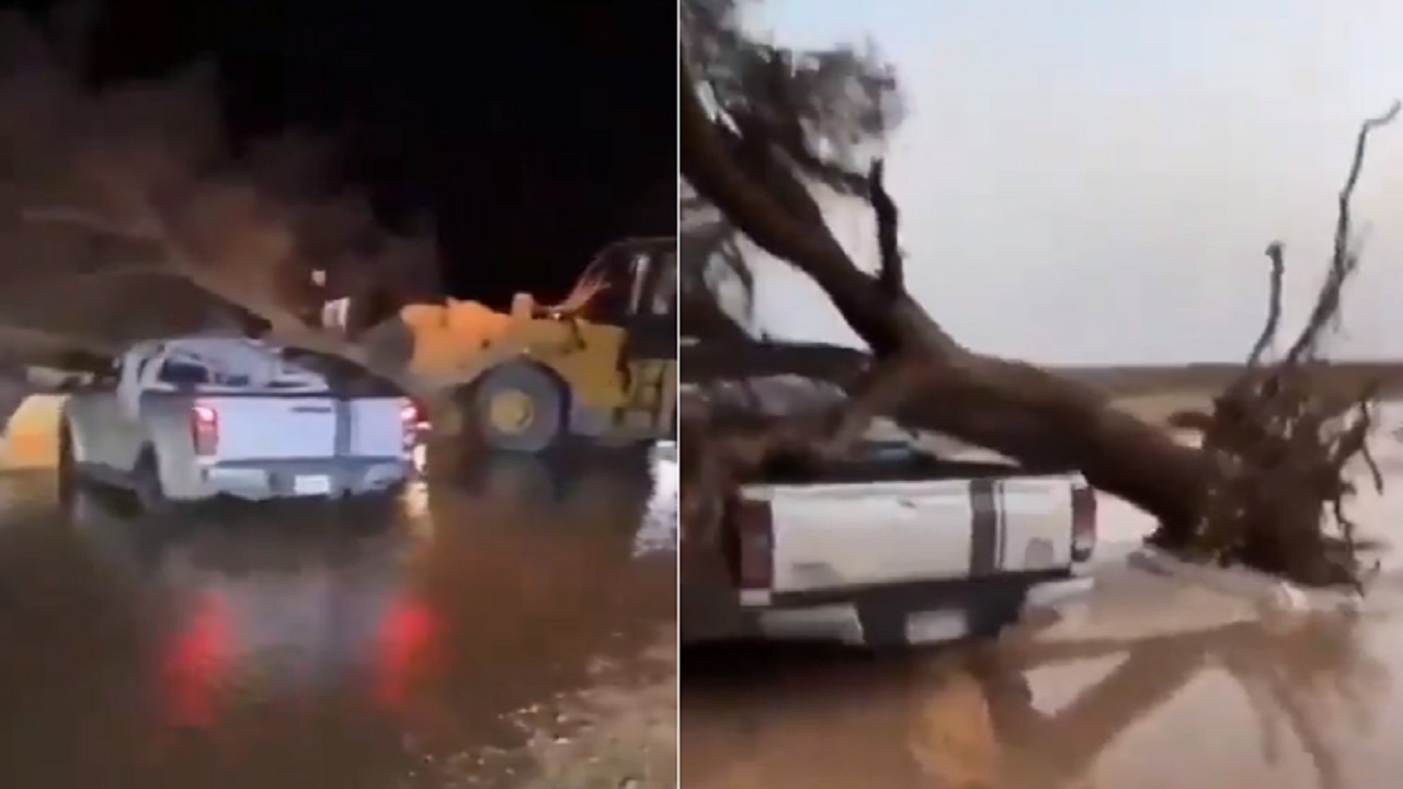 الرياح تسقط شجرة فوق سيارة بداخلها أشخاص .. فيديو