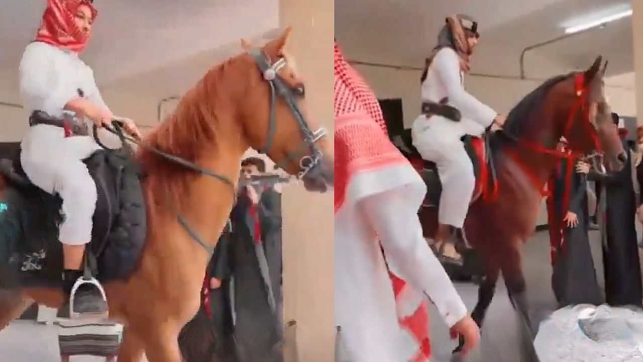 طلبة يحتفلون بيوم التأسيس على ظهور الخيول في جازان .. فيديو