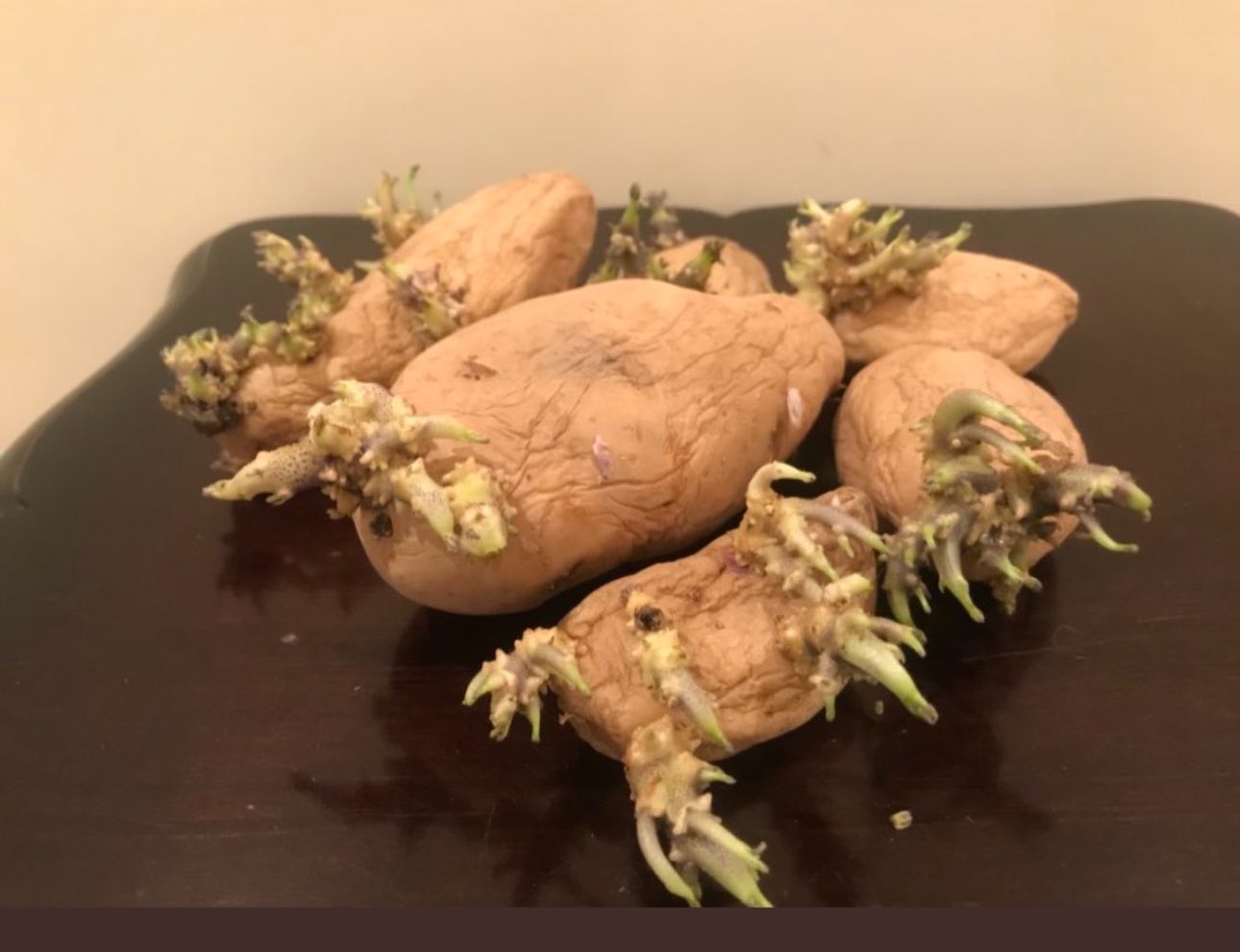 الخضيري: قشر التفاح مفيد وفيه فيتامينات ومعادن هامة