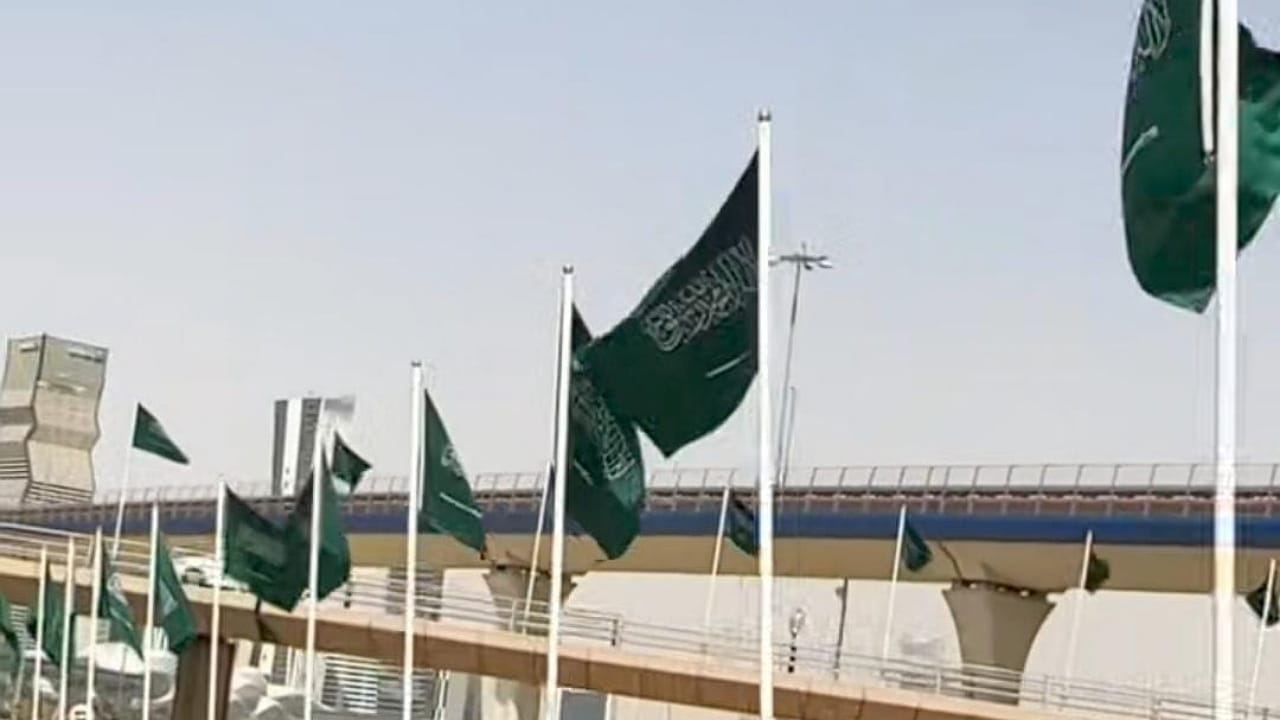 الأعلام السعودية تزين شوارع الرياض احتفاءً بيوم العلم الوطني .. فيديو