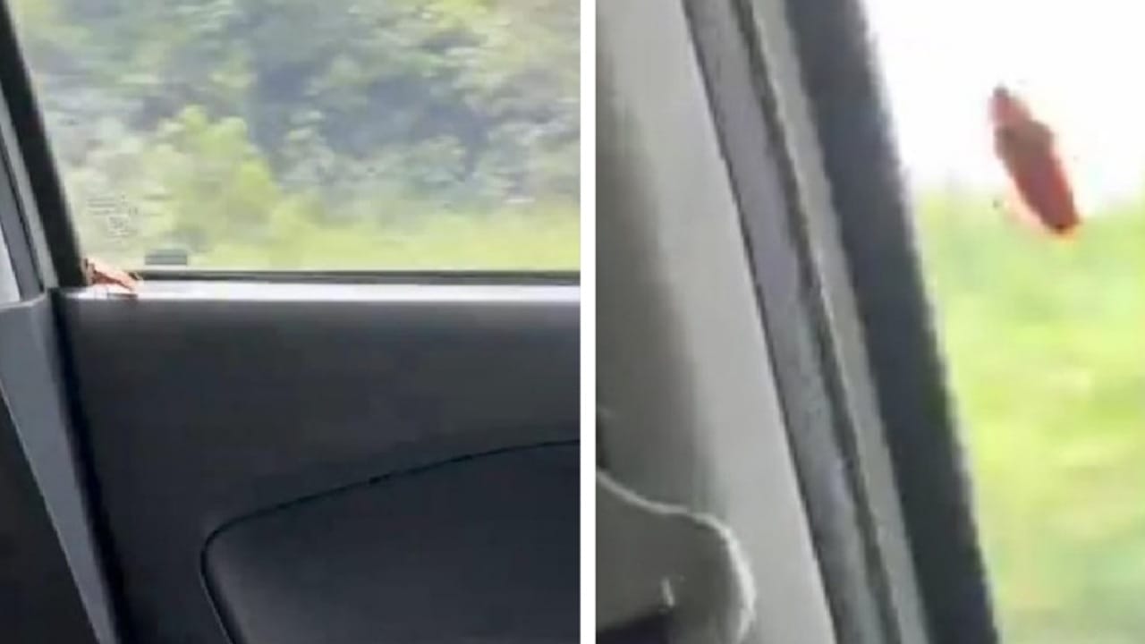 فتاة في ماليزيا تتعرض إلى كابوس مرعب أثناء قيادتها سيارتها .. فيديو