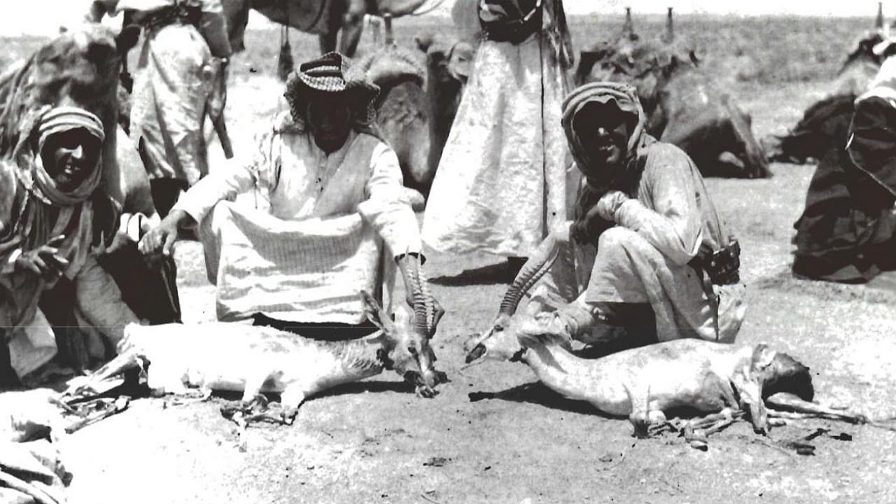 لقطة نادرة لرجال يصطادون الغزلان في أراضي الصلب جنوب ‎الصمان .. صورة