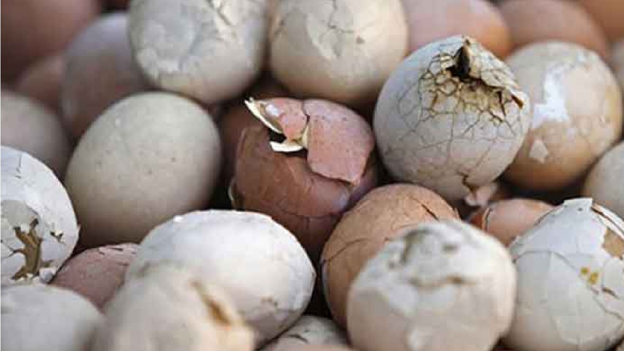 إحباط توزيع 12 طنًا من البيض الفاسد في الرياض