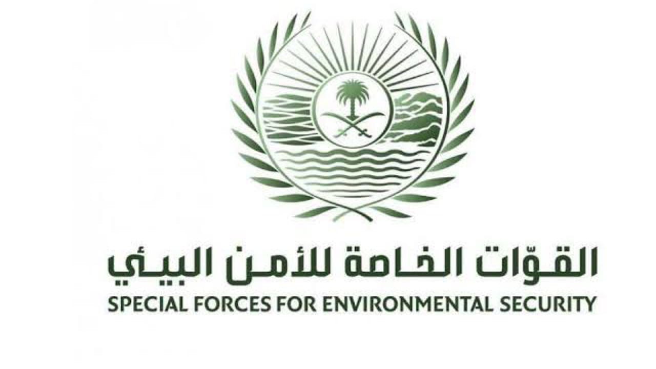 القبض على مقيم مخالف لنظام البيئة لاقتلاعه الأشجار في المدينة المنورة