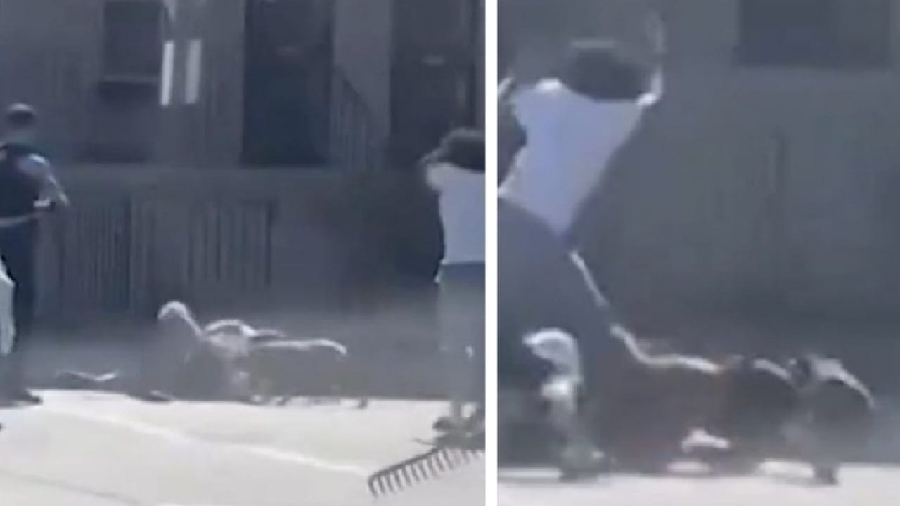 شرطي أمريكي يخضع للمساءلة القانونية بعد قتله كلبا لإنقاذ حياة رجل .. فيديو