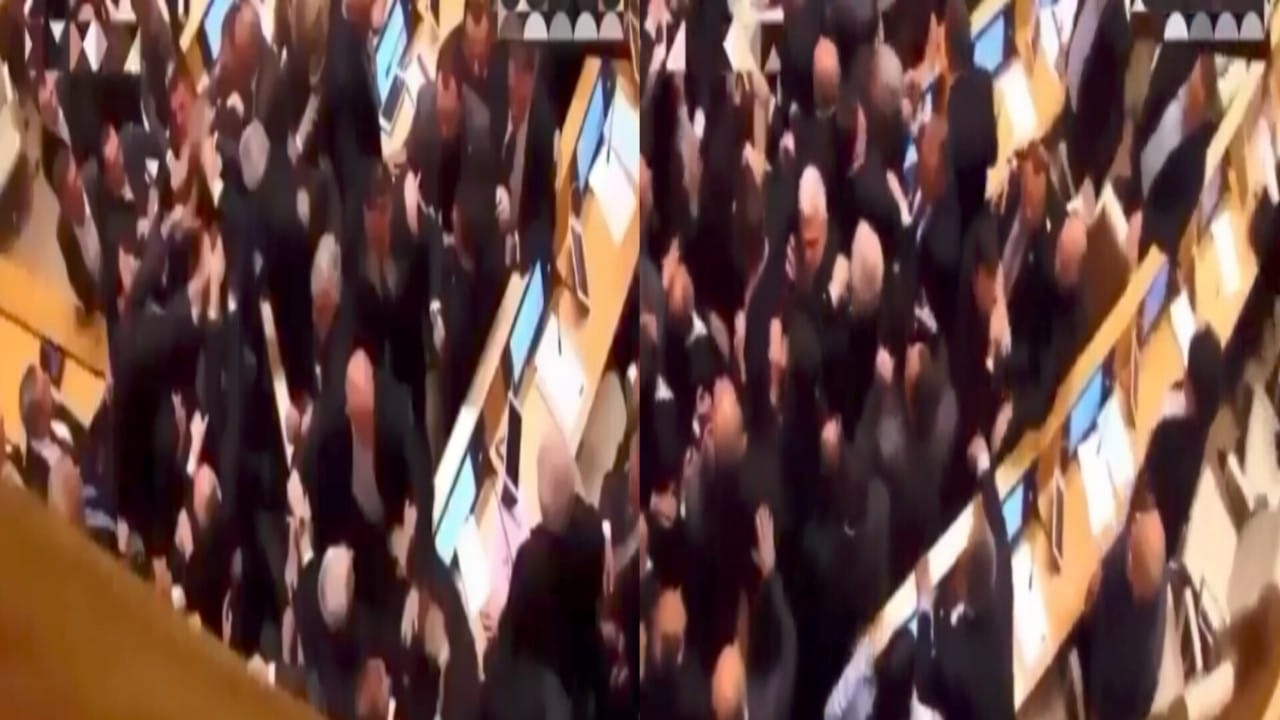 مشاجرة جماعية عنيفة داخل البرلمان الجورجي.. فيديو